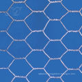 Galvanized Steel Electric Hexagonal Wire Mesh